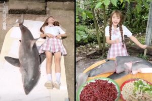 絶滅危惧種のホホジロザメを美味しく食べたインフルエンサーに、高額の罰金刑【中国】