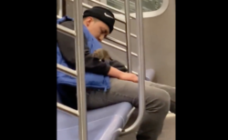 地下鉄車内にネズミがうろちょろ、眠った客の肩に登る動画がオソロシイ