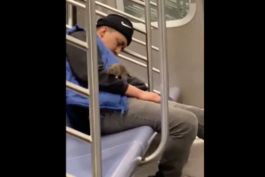 地下鉄車内にネズミがうろちょろ、眠った客の肩に登る動画がオソロシイ