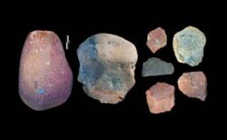 ケニアで発見された290万年前の石器、現生人類とは別系統の種が制作か？