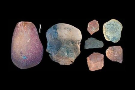 ケニアで発見された290万年前の石器、現生人類とは別系統の種が制作か？