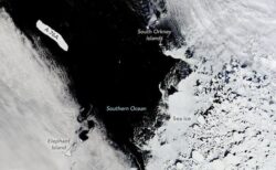 南極で2つの巨大な氷山が移動中、研究者が警鐘を鳴らす