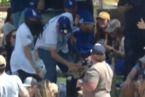 メジャーリーグのホームランボールをワンコがゲット、飼い主も大喜び【動画】