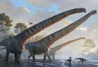 中国で発見された恐竜の化石、首の長さが15メートルもあると判明