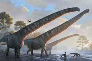 中国で発見された恐竜の化石、首の長さが15メートルもあると判明