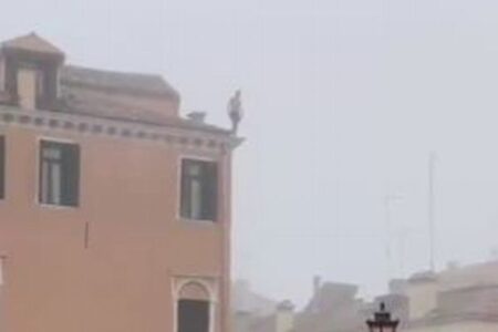 ベネチアで建物から男性が運河へダイブ、市長が「馬鹿者！」と激怒