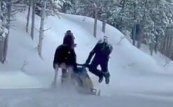 スノーモービルに乗っていた男性にヘラジカが突進、危険な瞬間を撮影【動画】