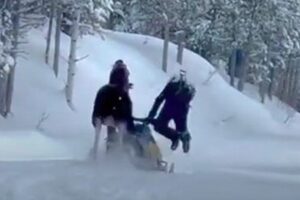 スノーモービルに乗っていた男性にヘラジカが突進、危険な瞬間を撮影【動画】