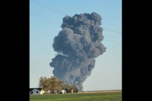 テキサス州の酪農場で火災、1万8000頭の牛が焼け死ぬ