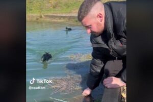 スコットランドの男性、何故かカモに執拗に追われ、逃げ続ける【動画】