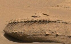 NASAの「キュリオシティ」が火星で、魚の背骨のような岩を発見