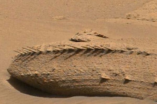 NASAの「キュリオシティ」が火星で、魚の背骨のような岩を発見
