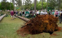 ゴルフの「マスターズ」で巨大な2本の木が倒れ、観客がパニック