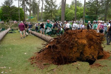 ゴルフの「マスターズ」で巨大な2本の木が倒れ、観客がパニック