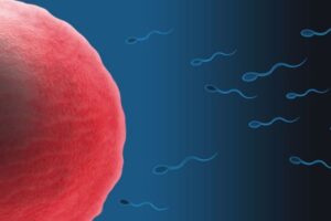 精子提供により、500人の子供を持つ父親がいることが判明【オランダ】