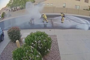 無数のハチが車椅子の男性を襲撃、250回以上も刺され病院へ搬送