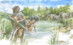 ドイツで30万年前の人類、「ホモ・ハイデルベルゲンシス」の足跡を発見