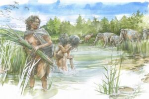 ドイツで30万年前の人類、「ホモ・ハイデルベルゲンシス」の足跡を発見