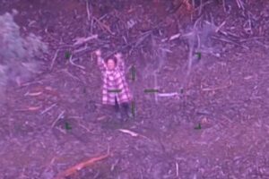 豪の林で行方不明になっていた女性、ワインで5日間を生き延びる