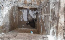 タイの井戸に子供のゾウが落下、重機を使って無事救出に成功
