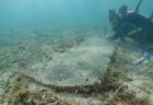 フロリダ州の海底で、19世紀の病院の跡と墓石を発見