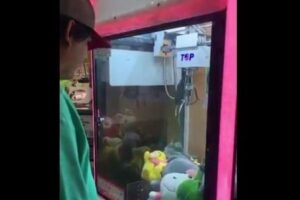 UFOキャッチャーでぬいぐるみをゲットしたら、本物のネコがでてきた！