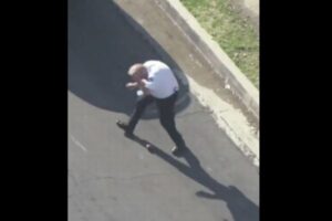 ハチの大群に襲撃された警察官、恐怖の瞬間をメディアが撮影