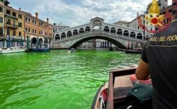 ベネチアの運河の一部が緑色に染まる！警察が原因を調査中