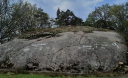 スウェーデンで2700年前の岩絵を発見、船や人、動物が描かれていた