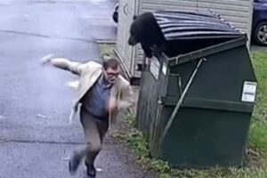 学校のゴミ箱の中からクマ、校長先生もびっくりして逃走！【動画】