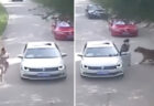 サファリパークで車外に出た女性がトラに襲われる、恐ろしい動画が浮上