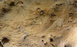 フランスの洞窟で、ネアンデルタール人が描いた最古の壁画を発見