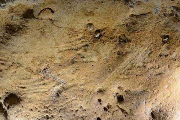 フランスの洞窟で、ネアンデルタール人が描いた最古の壁画を発見