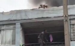 ホームレスの男性が、燃える建物から25匹の犬を救出【ペルー】