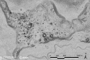 メキシコのジャングルで、古代マヤ文明の新たな遺跡を発見