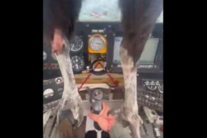 大型の鳥が飛行機に突っ込み、パイロットも血だらけになり呆然【動画】
