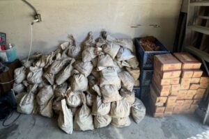 ロサンゼルスの民家から、100万枚の1セント硬貨を発見