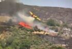 ギリシャで山火事の消火中に飛行機が墜落、パイロットら2人が死亡【動画】