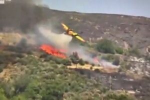 ギリシャで山火事の消火中に飛行機が墜落、パイロットら2人が死亡【動画】