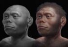 インドネシアで発見された「ホモ・フロレシエンシス」の顔、最新技術で復元