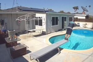 アマゾンの配達員、暑さのため届け先の家のプールに飛び込んでしまう【動画】