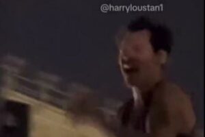 コンサート中、ハリー・スタイルズに物が投げつけられ、顔に直撃！【動画】