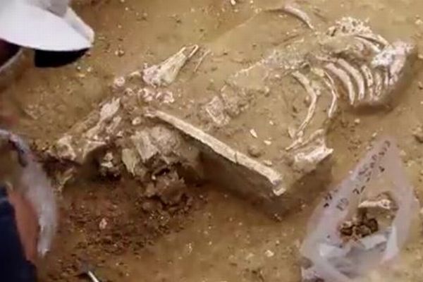 パレスチナの遺跡から、2000年前の墓、125基を発見