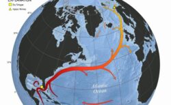 メキシコ湾流の循環システムが、2025年までに崩壊する可能性