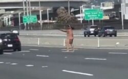 武装した裸の女が橋に現れ、突然車に向かって発砲【動画】