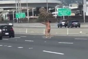 武装した裸の女が橋に現れ、突然車に向かって発砲【動画】