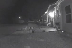 靴が臭すぎた？シカが匂いを嗅いで、すぐに逃げていく【動画】