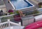 ワンコが密かに隣家に侵入、勝手にプールで泳いでしまう【動画】