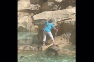 観光客たちも唖然！「トレビの泉」に女性が入りこみ、ボトルに水を入れる【動画】