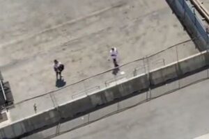 「止まってくれ！」クルーズ船に乗り遅れた乗客、岸壁から船長に懇願【動画】